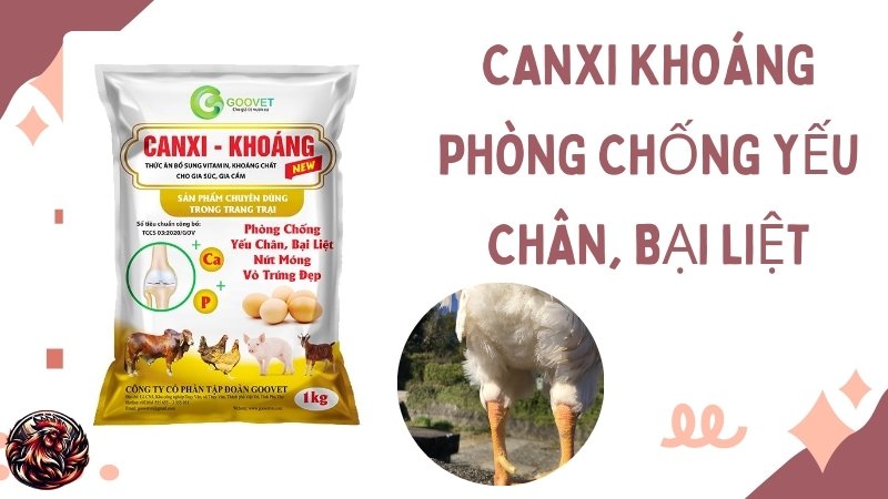 CANXI khoáng phòng chống yếu chân, bại liệt