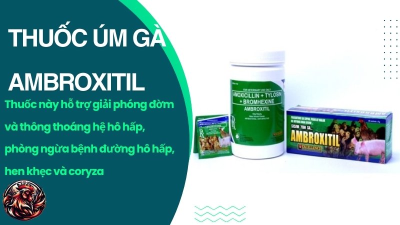 Thuốc úm gà Ambroxitil