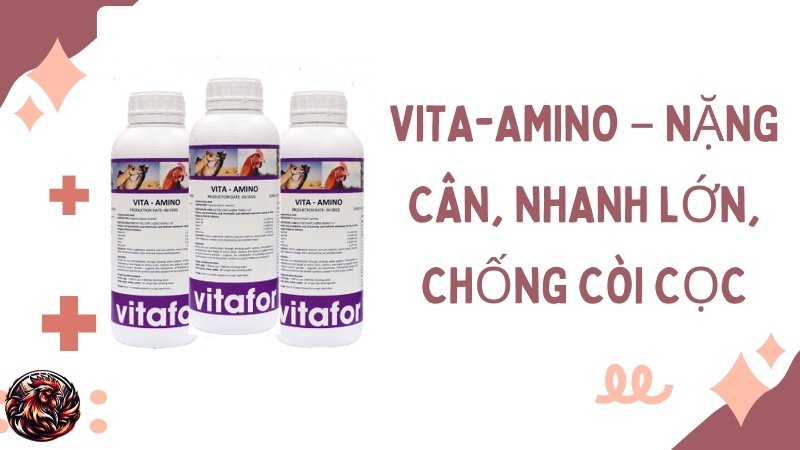 VITA-AMINO – Nặng cân, nhanh lớn, chống còi cọc