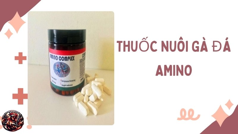 Thuốc nuôi gà đá AMINO