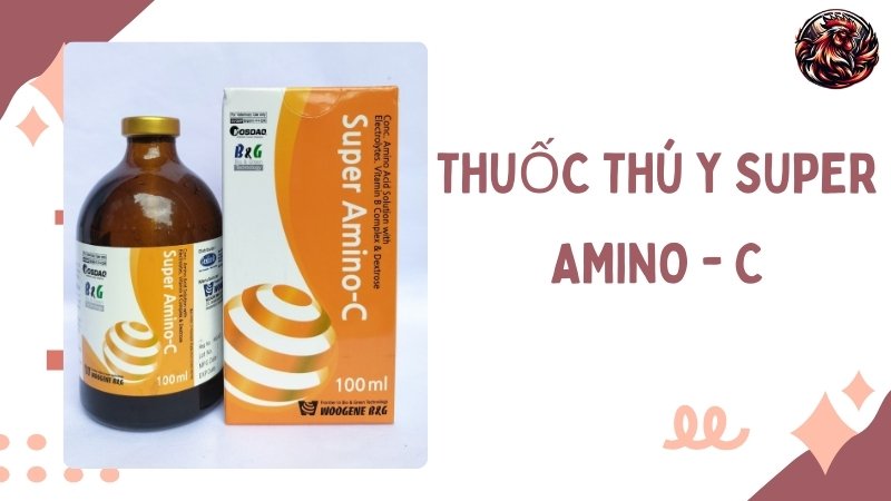 Thuốc thú y SUPER AMINO - C