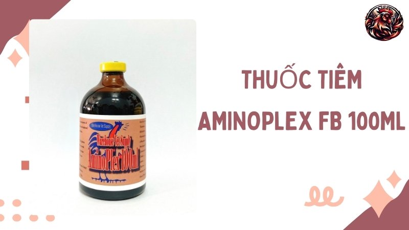 Thuốc tiêm AMINOPLEX FB 100ML