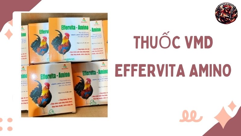 Thuốc VMD Effervita Amino