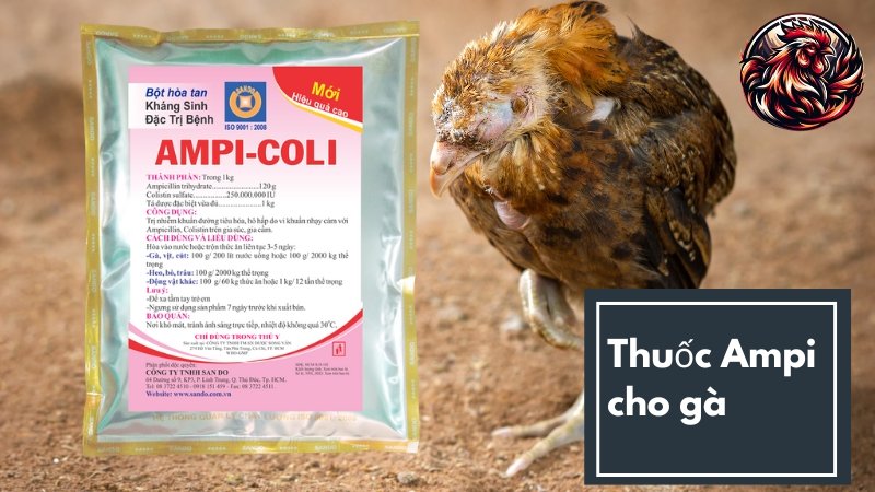 Thuốc thú y Ampicoli cho gà