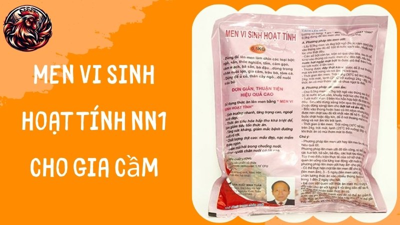 Men vi sinh hoạt tính NN1 cho gia cầm