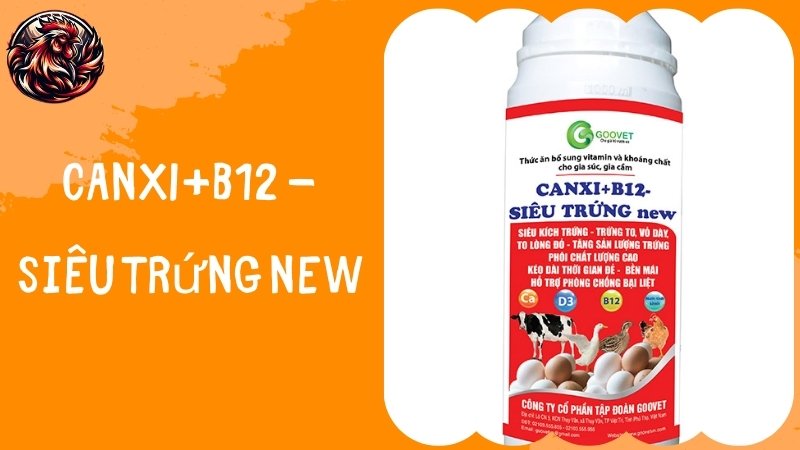 CANXI+B12 - Siêu trứng new