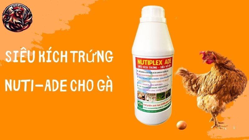 Siêu kích trứng NUTI-ADE cho gà