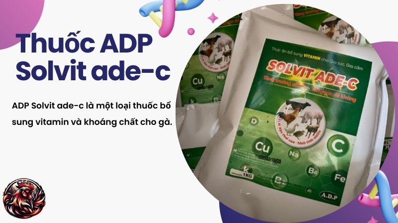 Thuốc ADP Solvit ade-c 