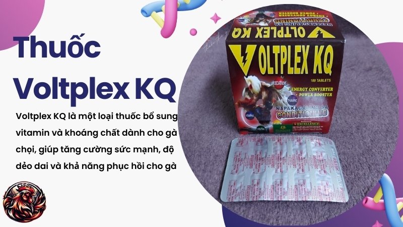 Voltplex KQ cho gà