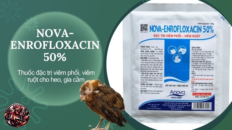 NOVA-ENROFLOXACIN 50% - Thuốc đặc trị viêm phổi, viêm ruột cho heo, gia cầm