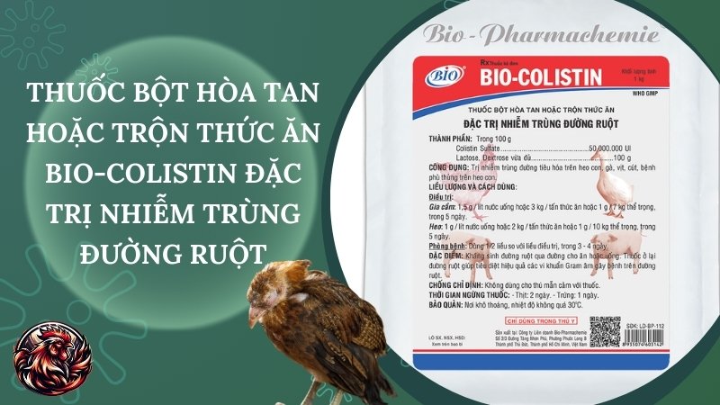 Thuốc bột hòa tan hoặc trộn thức ăn bio-colistin đặc trị nhiễm trùng đường ruột