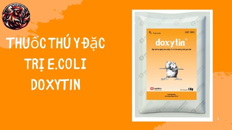 Thuốc thú y đặc trị E.coli DOXYTIN