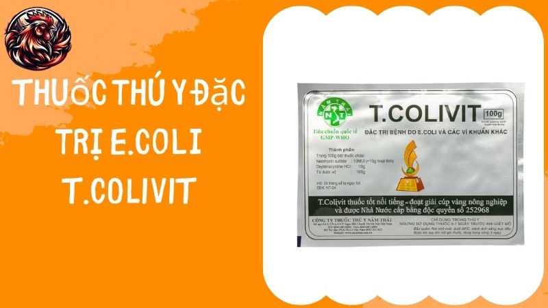 Thuốc thú y đặc trị E.coli T.COLIVIT