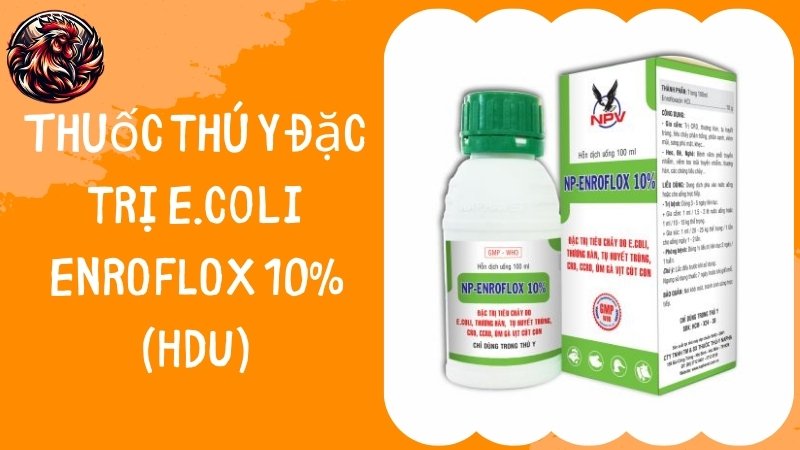 Thuốc thú y đặc trị E.coli ENROFLOX 10% (HDU)