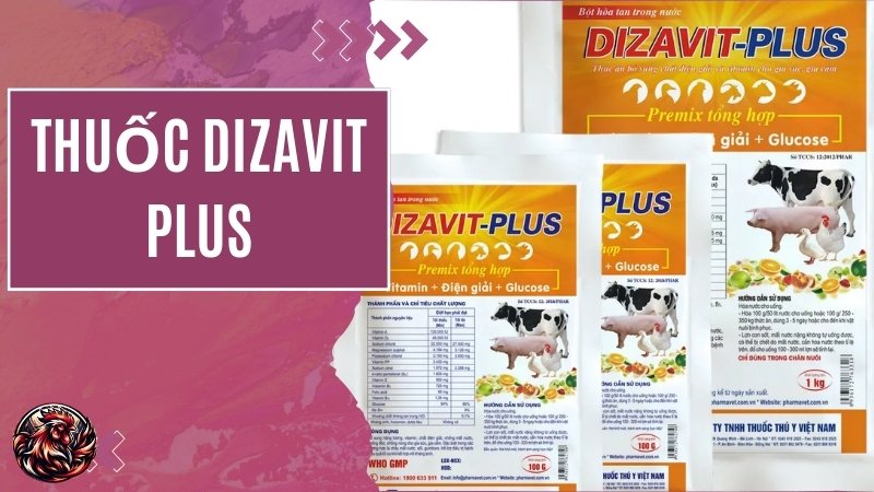Thuốc Dizavit-plus