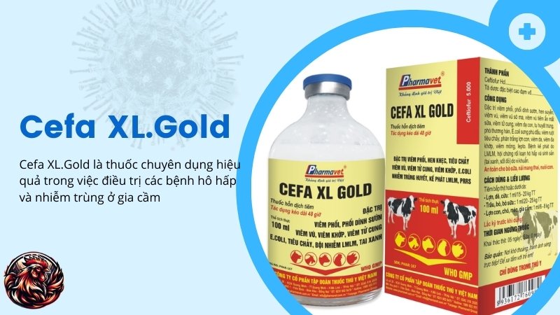 Cefa XL.Gold điều trị gà bị khò khè hiệu quả