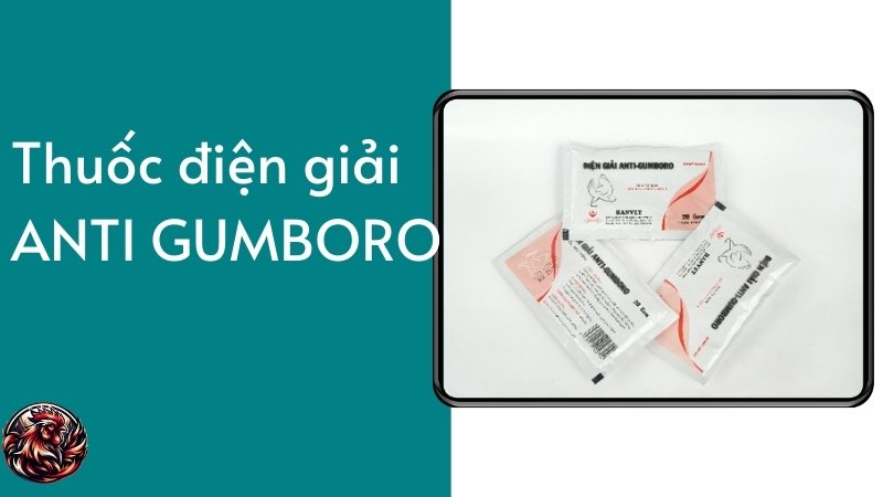  Thuốc điện giải ANTI-GUMBORO cho gà