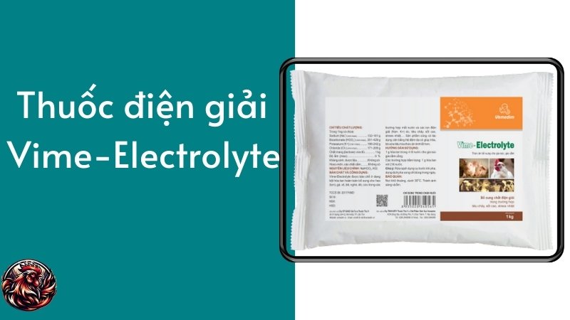  Thuốc điện giải Vime-Electrolyte