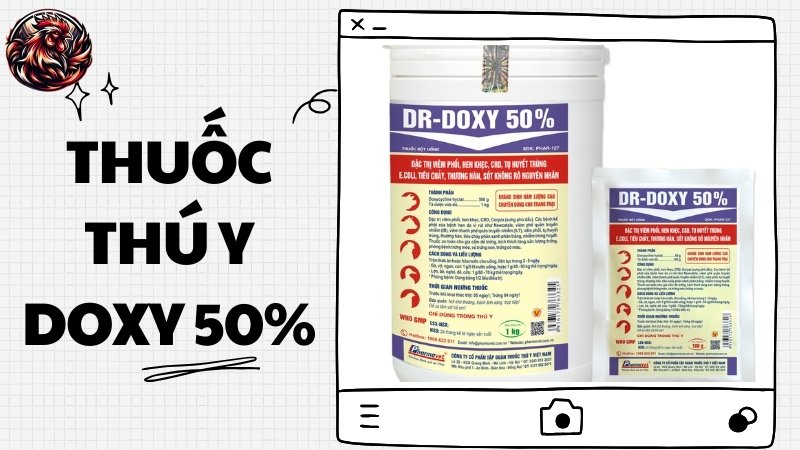 Thuốc thú y DOXY 50%