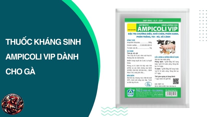 Thuốc kháng sinh AMPICOLI VIP dành cho gà