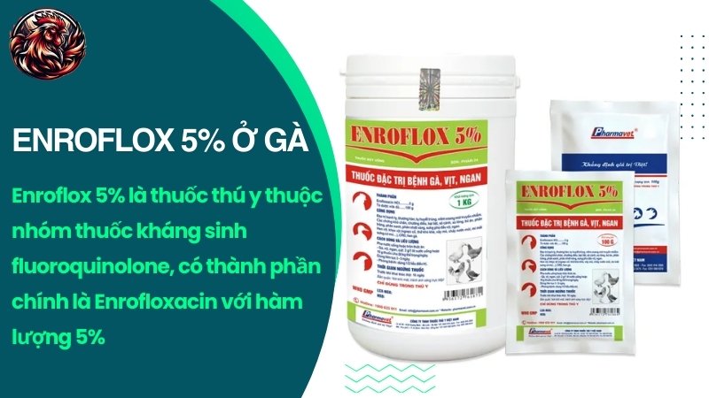 Enroflox 5% ở gà