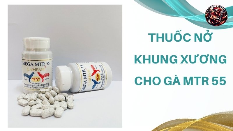 Thuốc nở khung xương cho gà Mtr 55