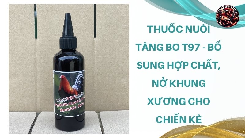 Thuốc nuôi tăng bo T97 - Bổ sung hợp chất, nở khung xương cho chiến kê