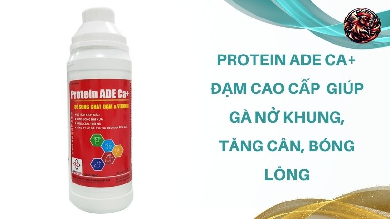 Protein ADE Ca+ đạm cao cấp - Giúp gà nở khung, tăng cân, bóng lông