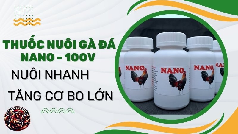  Thuốc nuôi gà đá Nano - 100v - Nuôi nhanh tăng cơ bo lớn