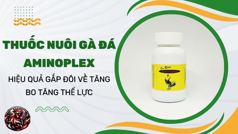  Thuốc nuôi gà đá AMINOPLEX - Hiệu quả gấp đôi về tăng bo tăng thể lực