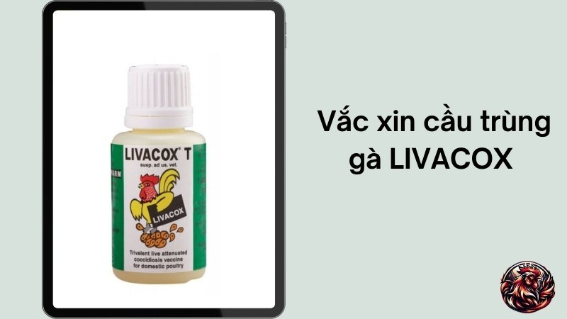  Vắc xin cầu trùng gà LIVACOX