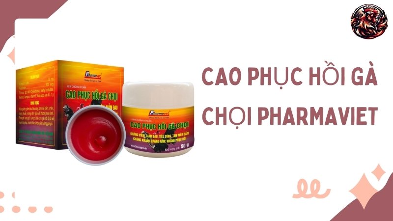 Cao phục hồi gà chọi Pharmaviet