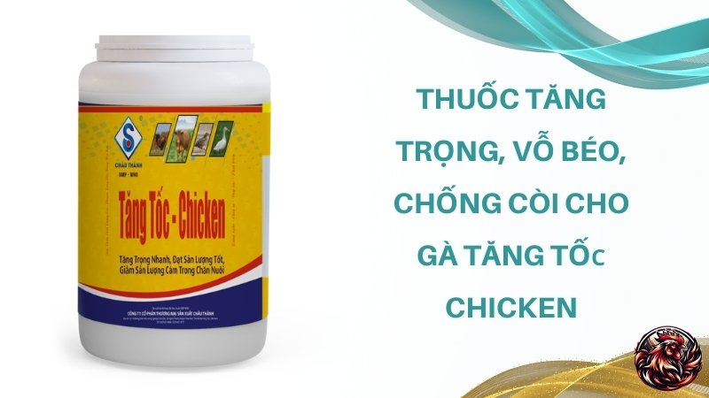 Thuốc tăng trọng, vỗ béo, chống còi cho gà Tăng Tốc Chicken