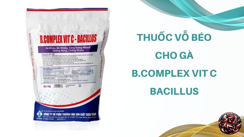 Thuốc vỗ béo cho gà B.Complex Vit C - Bacillus