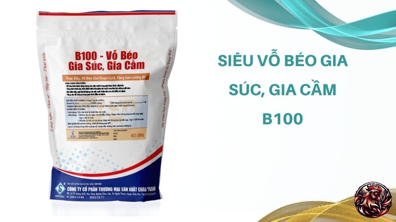 Siêu vỗ béo gia súc, gia cầm B100