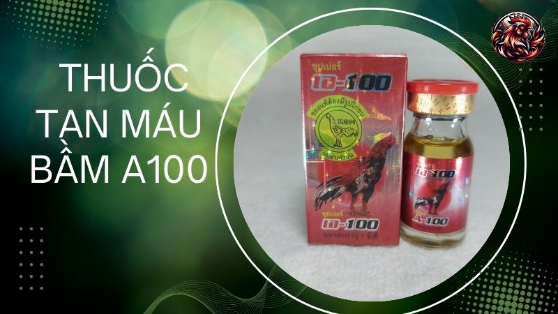  Thuốc tan máu bầm A100