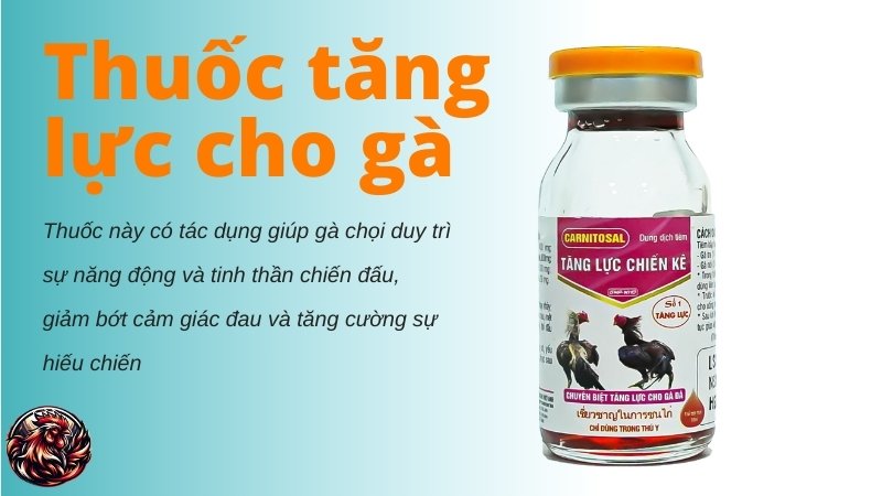 Thuốc tăng lực cho gà