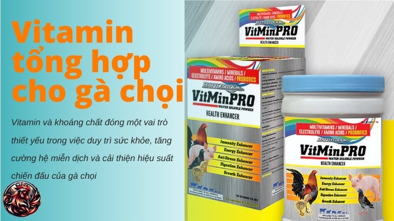 Vitamin tổng hợp cho gà chọi