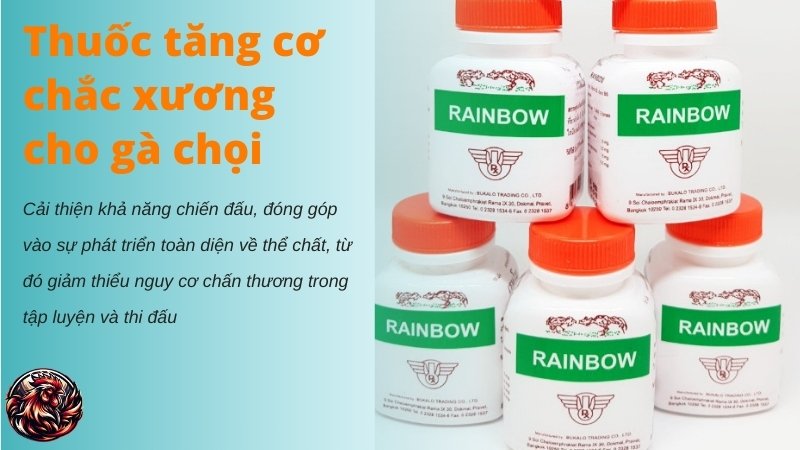 Thuốc tăng cơ chắc xương cho gà chọi