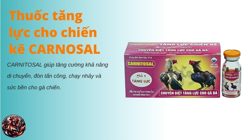 Thuốc tăng lực cho chiến kê CARNOSAL