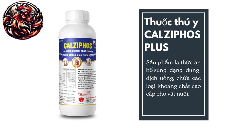 Thuốc thú y CALZIPHOS PLUS