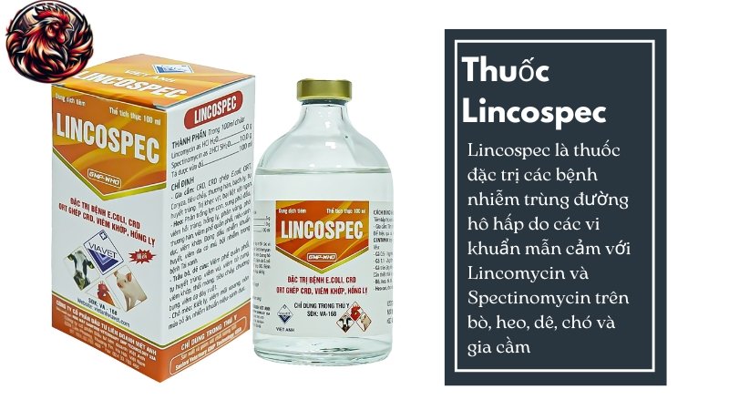 Thuốc Lincospec