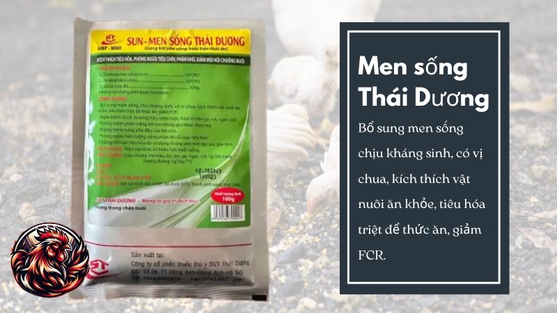 Men sống Thái Dương