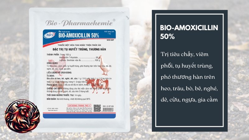 BIO-AMOXICILLIN 50%