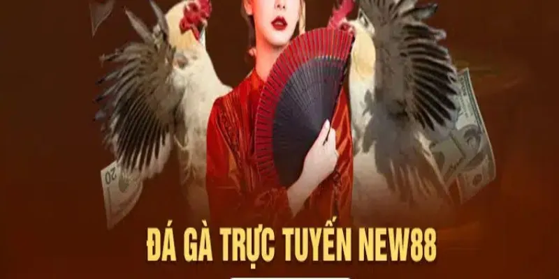 Luật chơi đá gà