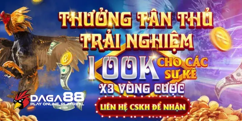 Nhận nhiều ưu đãi khi nạp tiền vào nhà cái 